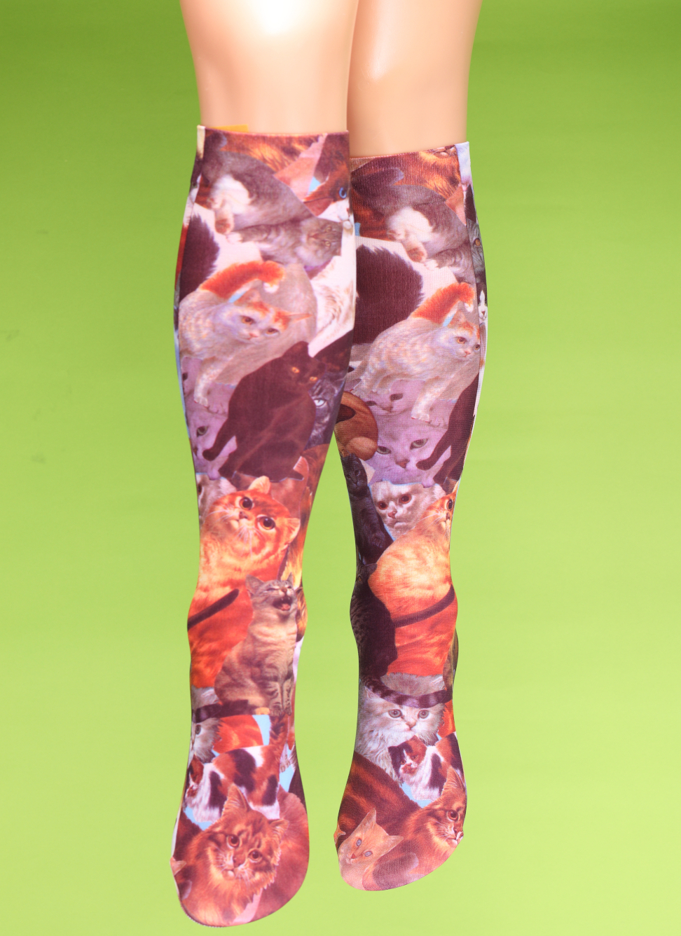 猫だらけのハイソックス