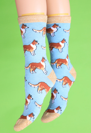  Summer dog socks