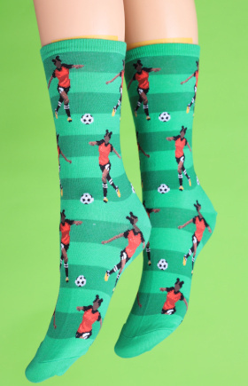 Santa rosa socks