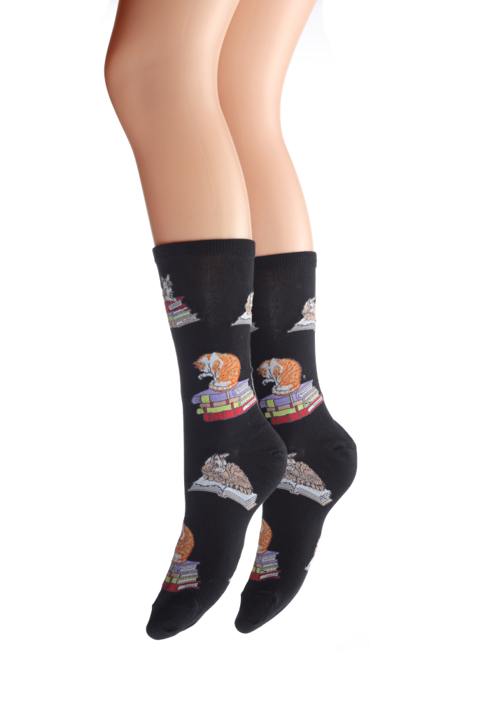 CATS ON BOOKS SOCKS