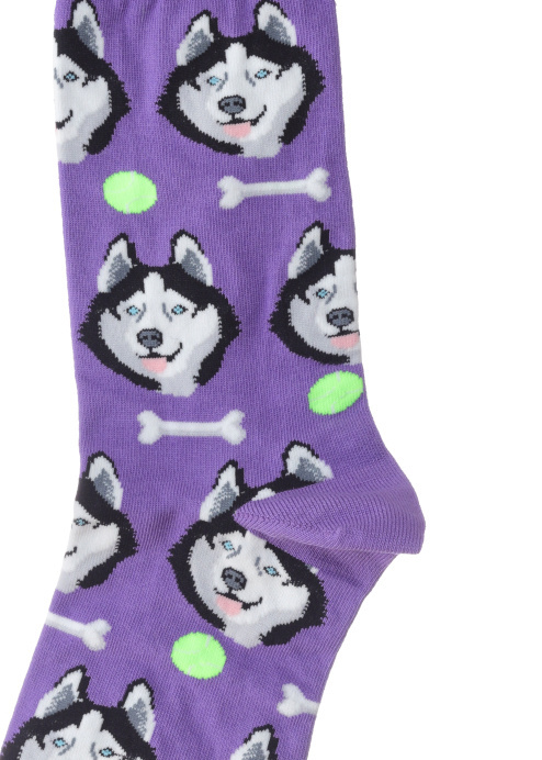 GIVE A DOG A BORN SOCKS