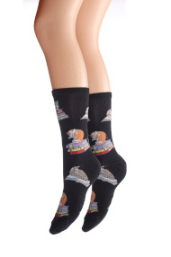 Cats on books socks