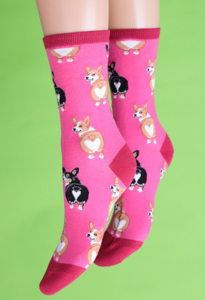 Corgi butt socks