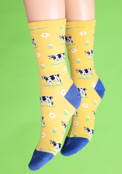 LEGENDAIRY SOCKS