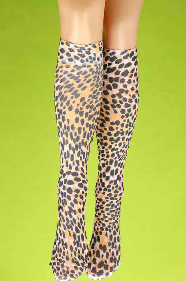 Cheetah knee hi