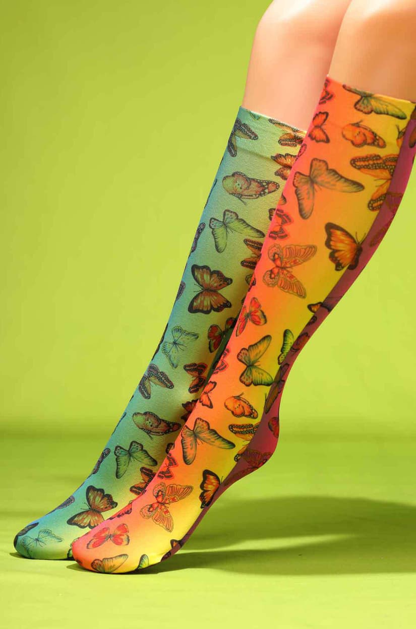 Rainbow butterfly knee hi