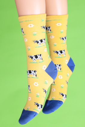 Legendairy socks