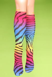 Rainbow zebra knee hi