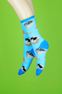 Cat in a box socks