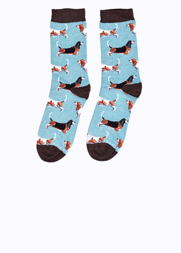 BASSET HOUND SOCKS